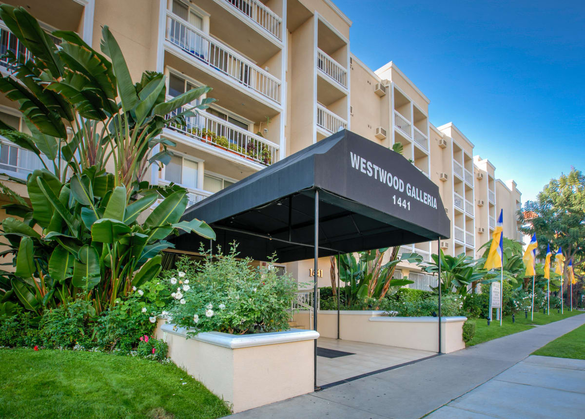 Photos and Video of Westwood Village Galleria in Los Angeles, CA